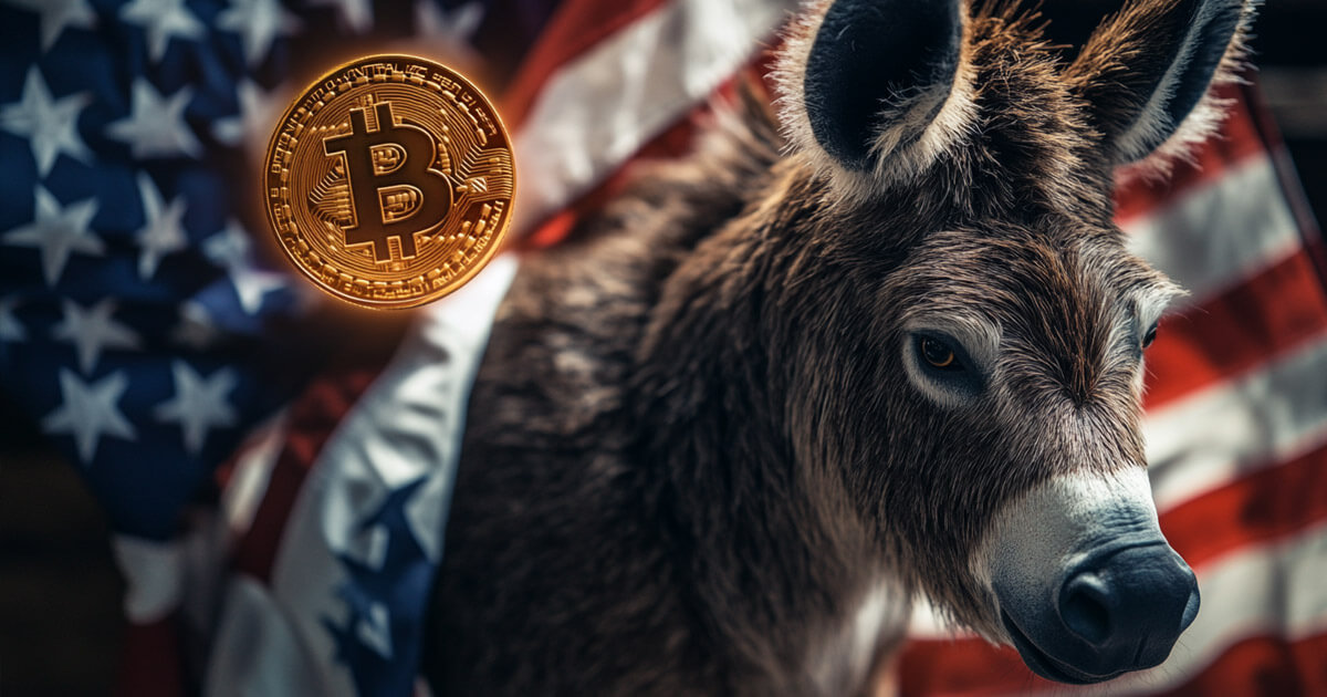 Read more about the article Democrat leaders back positive crypto reform in 2024, but community remains divided